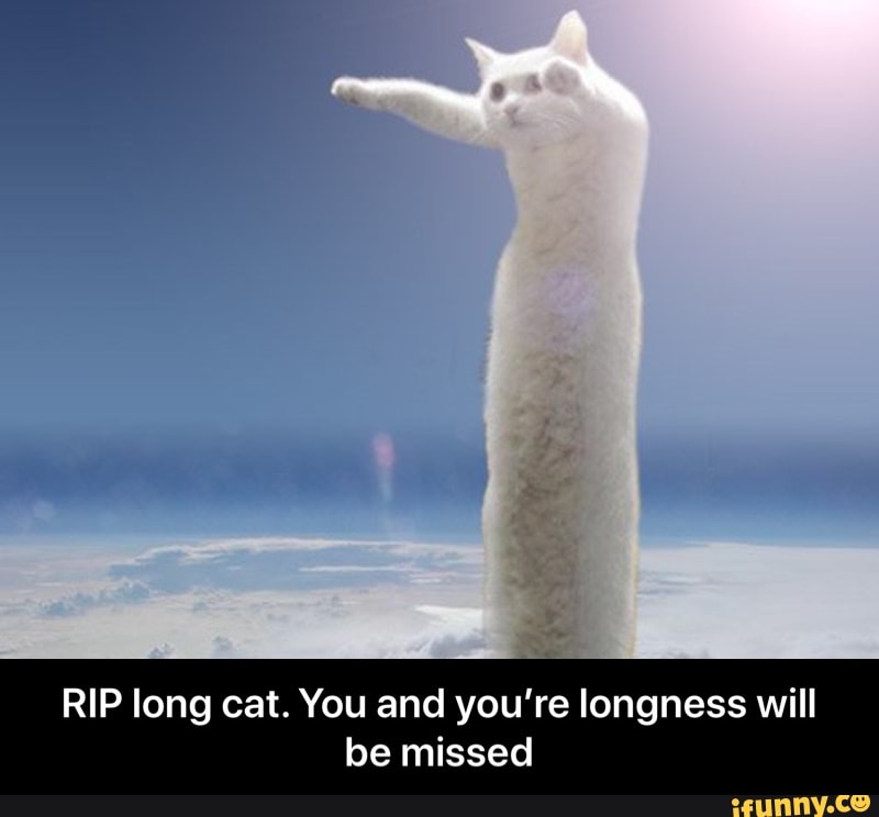 RIP long cat. You and you're longness will be missed - RIP long cat. You and you’re longness will be missed