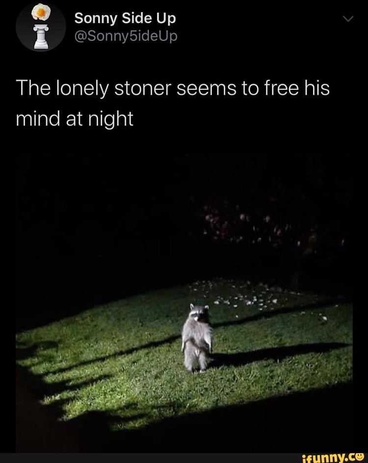@ Sonny Side Up @SonnySideUp The lonely stoner seems to free his mind
