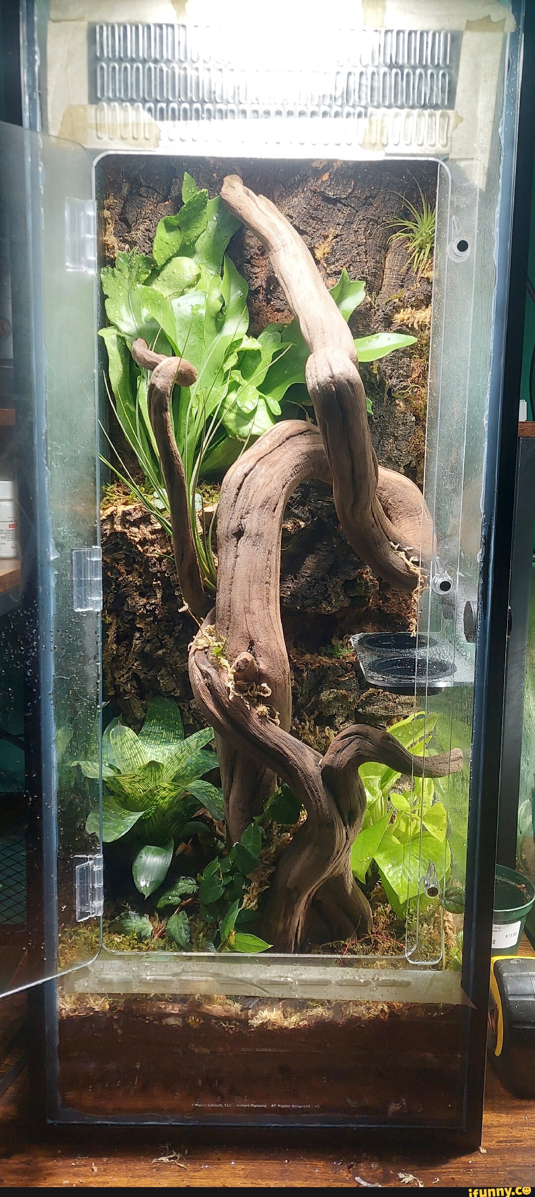 Terrarium memes. Best Collection of funny Terrarium pictures on iFunny