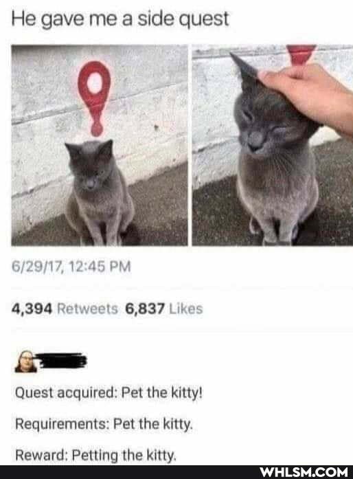 He gave me a side quest
PM
6,837
Quest acquired: Pet the kitty!
Requirements: Pet the kitty.