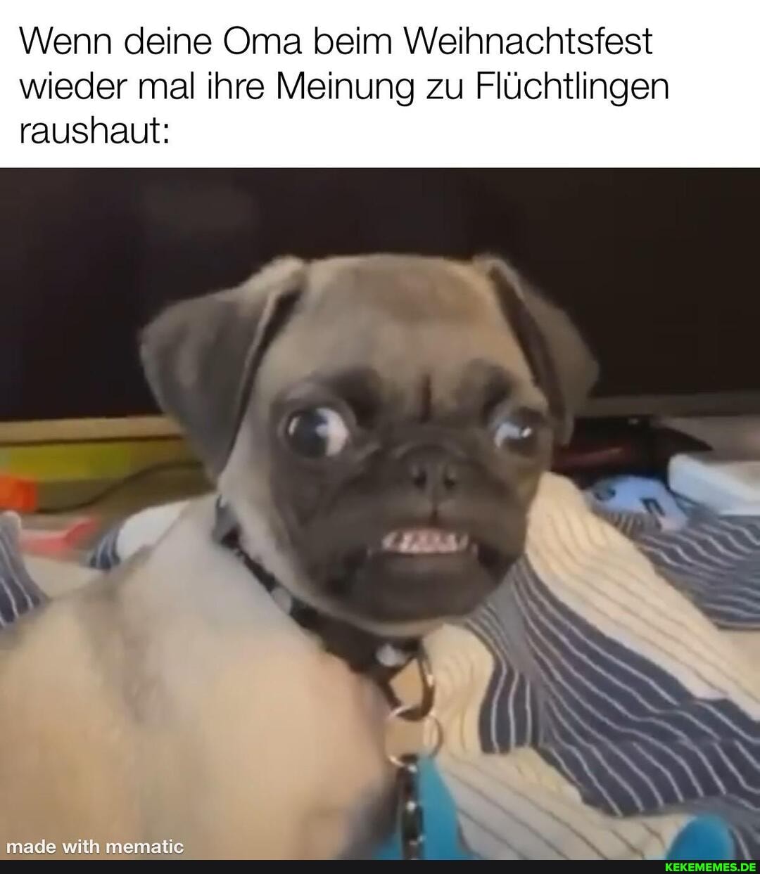 Wenn deine Oma beim Weihnachtsfest
wieder mal ihre Meinung zu Flüchtlingen
EIES
