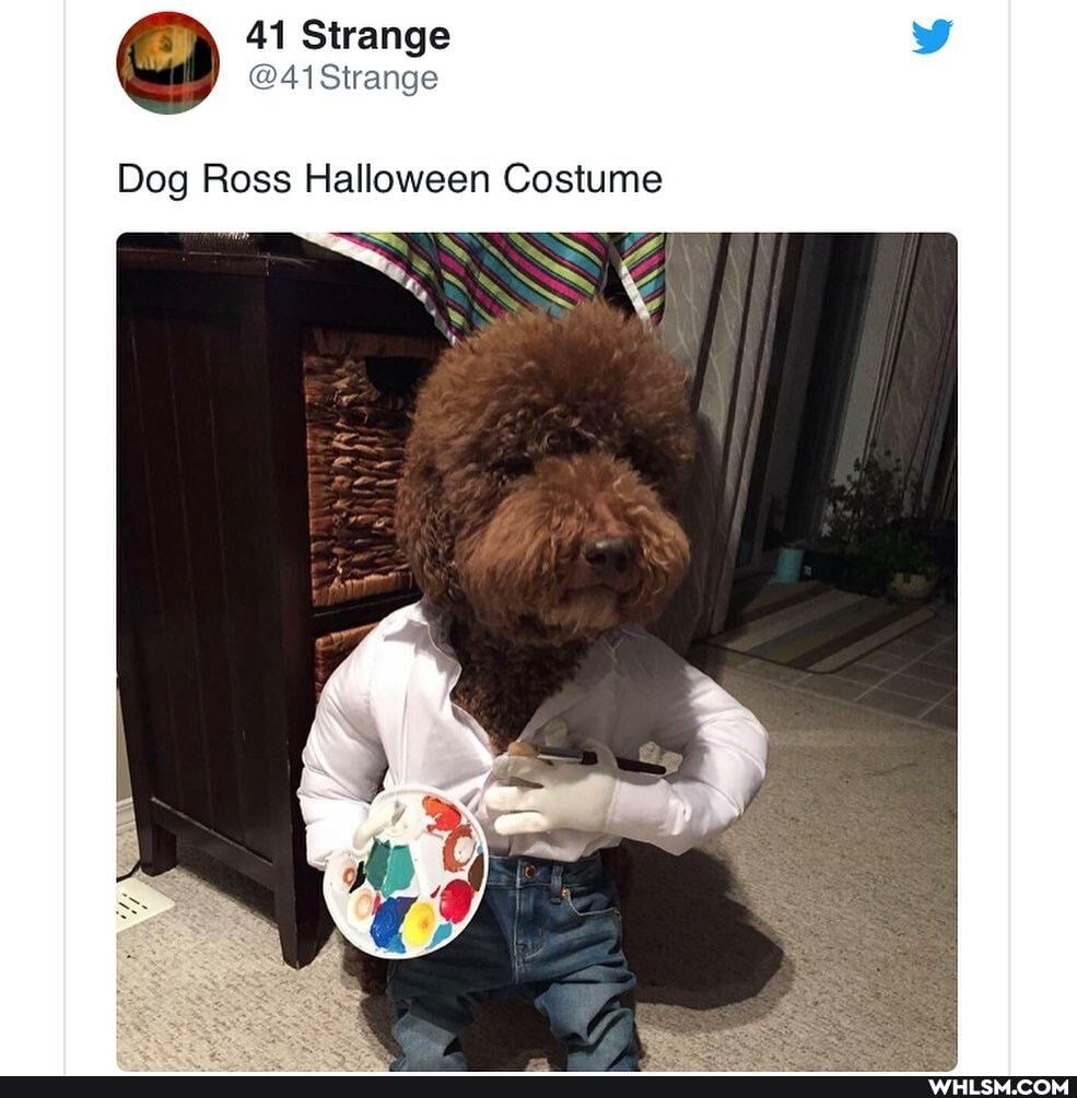 41 Strange
41 Strange
Dog Ross Halloween Costume