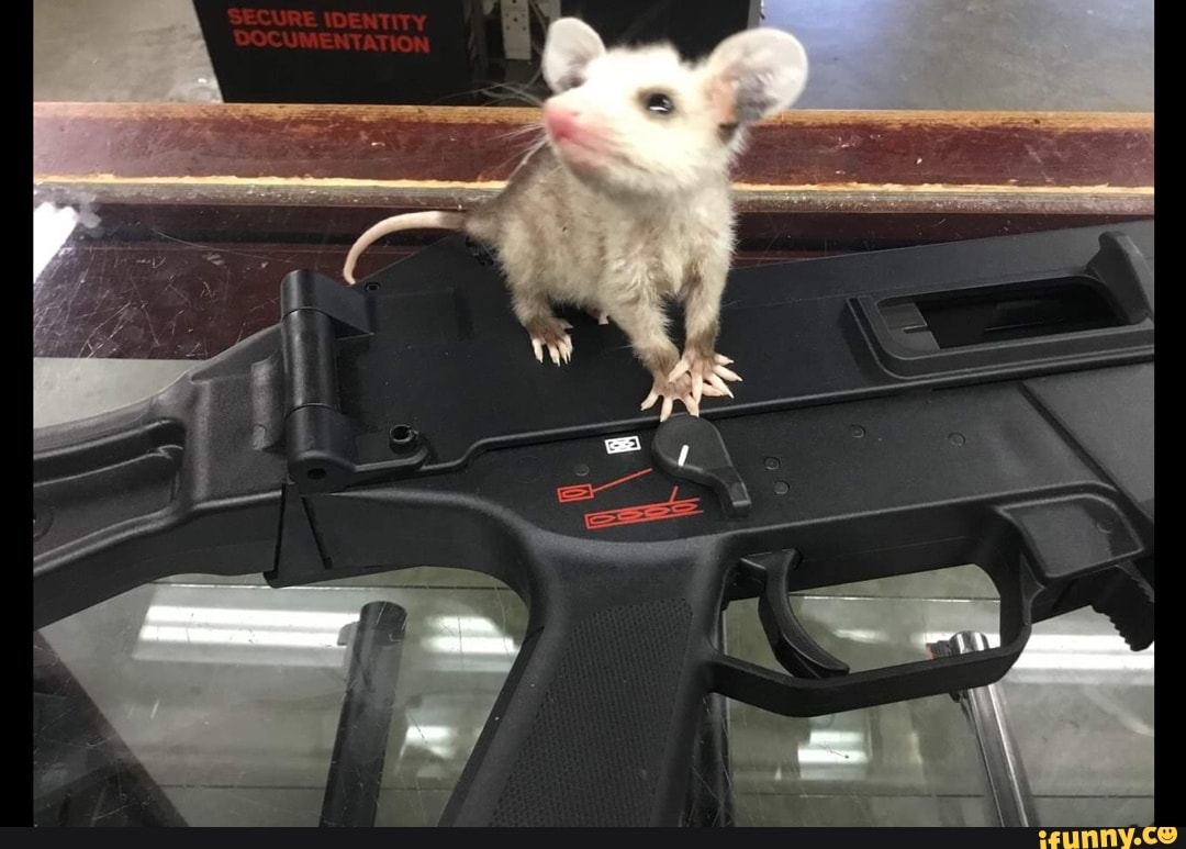 Cool rat