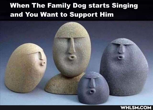 When The Family Dog starts Singing and You Want to Support Him