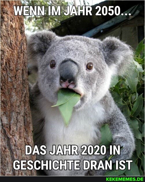 WENN IM JAHR 2050...
DAS JAHR 2020 IN
GESCHICHTE DRAN IST