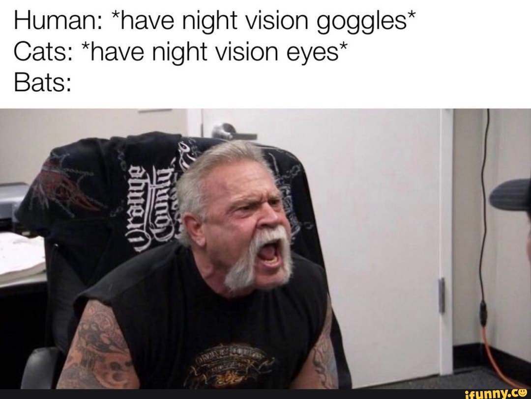 Human: *have night vision goggles*
Cats: *have night vision eyes*
Bats:
