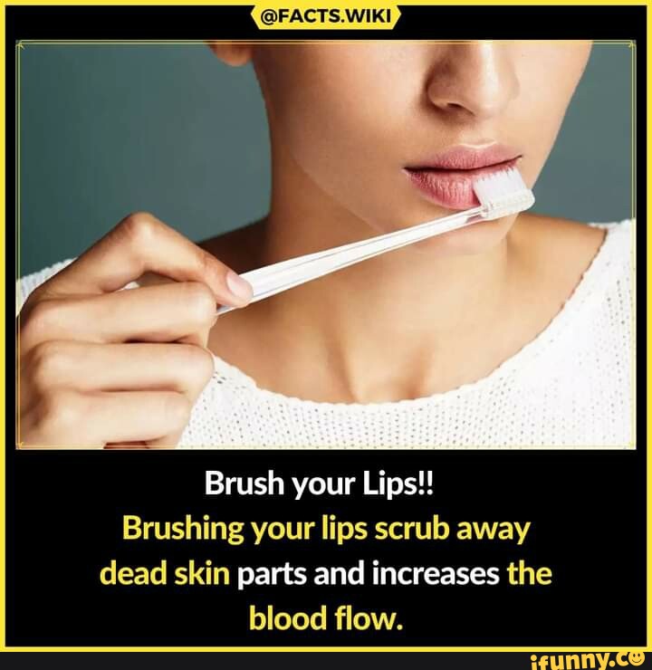 FACTS.WIKI Brush your Lips! Brushing your lips scrub away dead skin