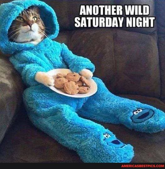ANOTHER WILD)
SATURDAY NIGHT