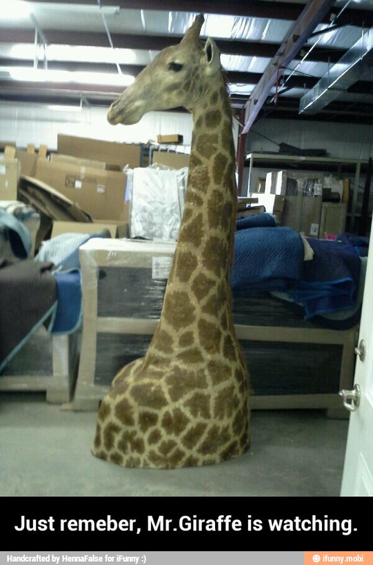Just remeber, Mr.Giraffe is watching. - Just remeber, Mr.Giraffe is watching.
