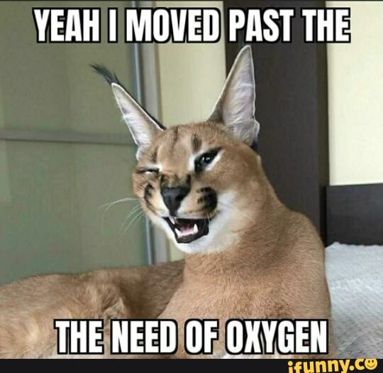 YEAH I MOVED PAST THE
THE NEED OF OXYGEN