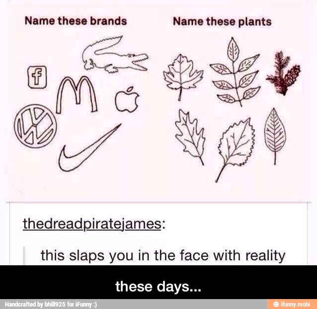 this slaps you in the face with reality
these days... - these days...