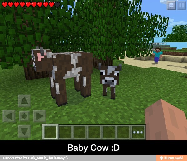 Baby Cow :D - Baby Cow :D