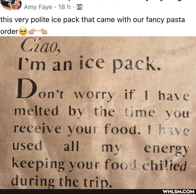 amy Faye 18
this very polite ice pack that came with our fancy pasta order@
I'm an ice pack.
Done worry if have melted by the time you receive your food. I used all my energy
keeping your foud chilled
dn trin