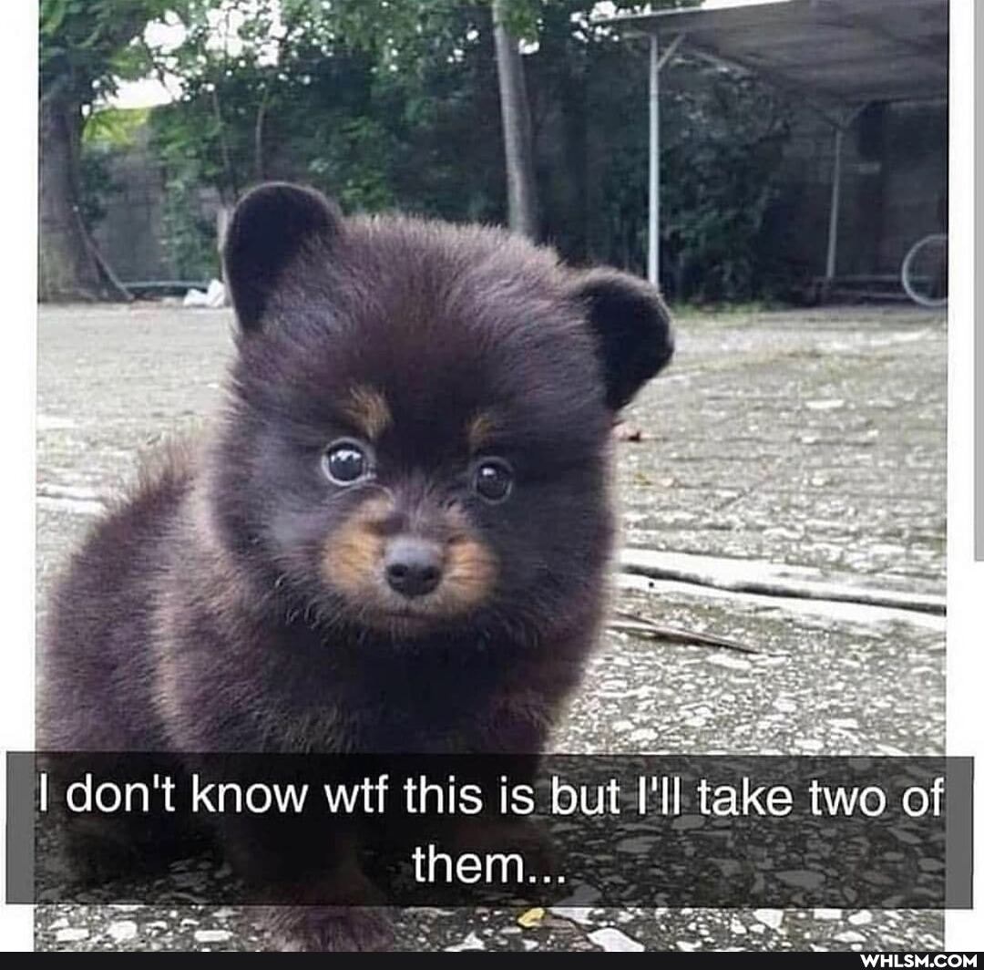 don't know wif this is but I'll take two of them...