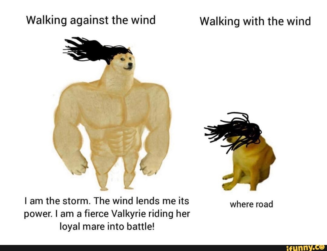 Walking against the wind Walking with the wind
I am the storm. The wind lends me its where road power. I am a fierce Valkyrie riding her loyal mare into battle!