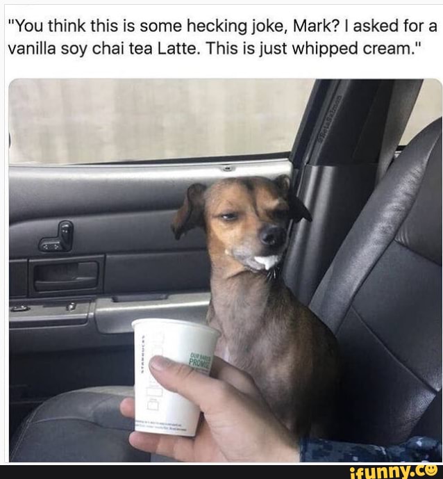 "You think this is some hecking joke, Mark? I asked for a vanilla soy