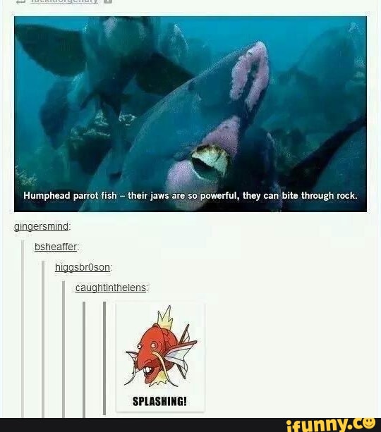 Shitpost Memes Memes The Best Memes On Ifunny