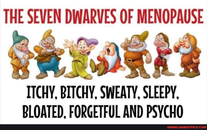 The Seven Dwarves Of Menopause Itchy Bitchy Sweaty Sleepy Bloated