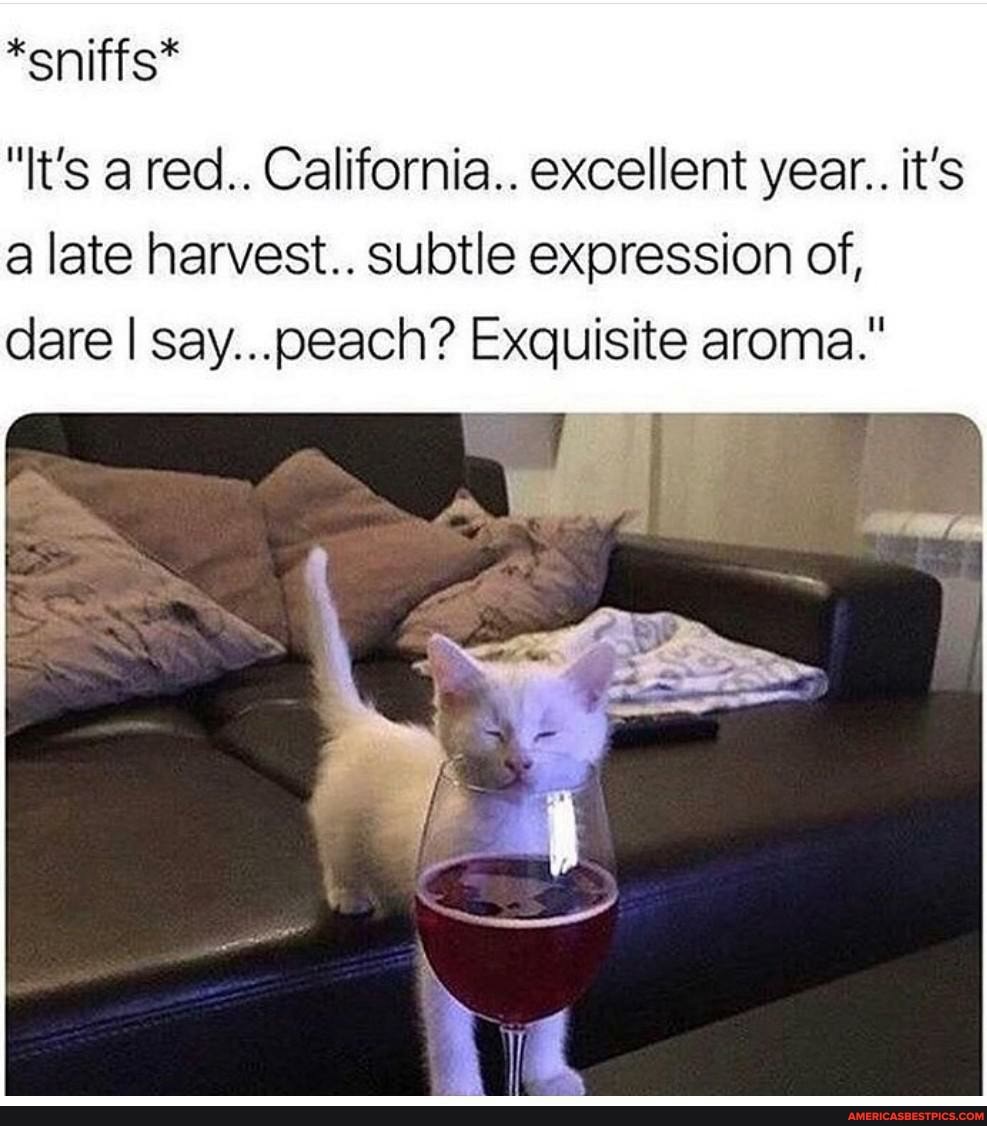 *sniffs*
"It's a red.. California.. excellent year.. it's a late harvest.. subtle expression of, dare I say...oeach? Exquisite aroma."