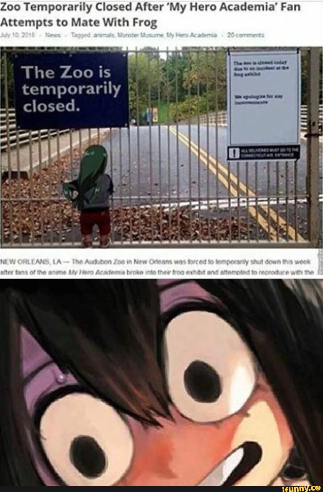 Zoo Temporarily Closed After 'My Hero Academia' Fan Attempts to Marc