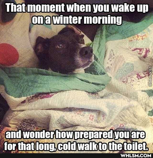 That moment when you wake up ona Winter morning
and wonder how prepared you are% thatianga cold walk ta the tniliat
