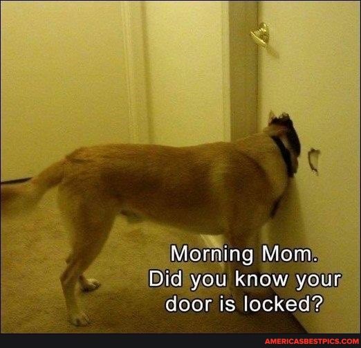 Morning Mom
Did you know yo
door is locked?