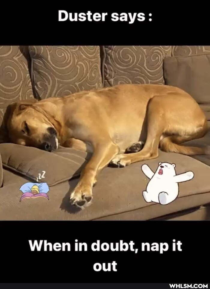 Duster says:
When in doubt, nap it out