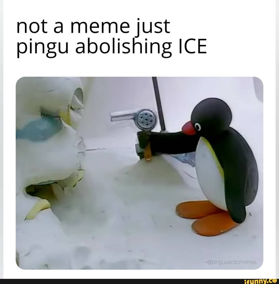 not a meme just pingu abolishing ICE