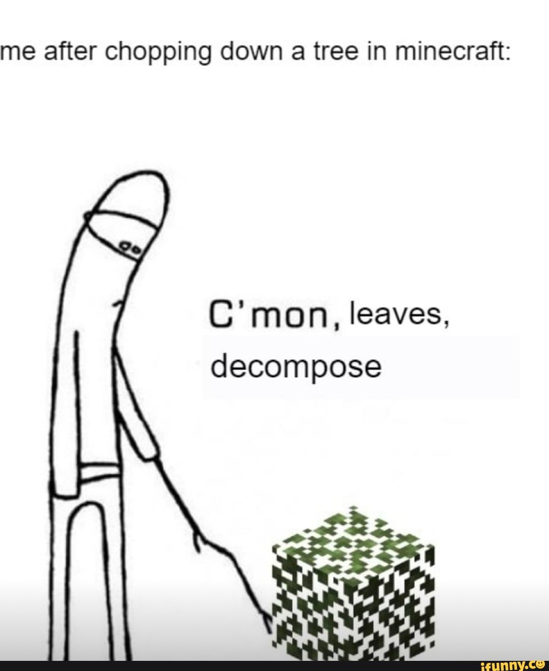 me after chopping down a tree in minecraft:
C'mon, leaves, decompose