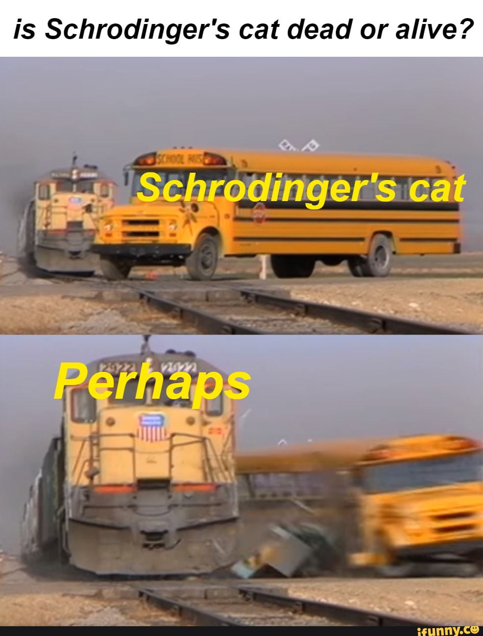And The Paradox Continues Is Schrodinger s Cat Dead Or Alive and-the-paradox-continues-is-schrodinger-s-cat-dead-or-alive