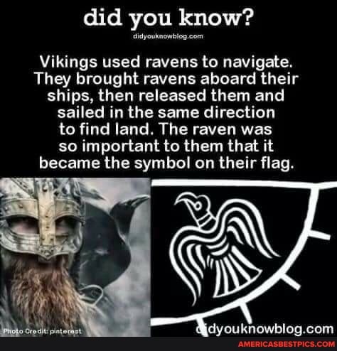 did you know?
Vikings used ravens to navigate.
They brought ravens aboard their ships, then released them and sailed in the same direction to find land. The raven was so important to them that it became the symbol on their flag.