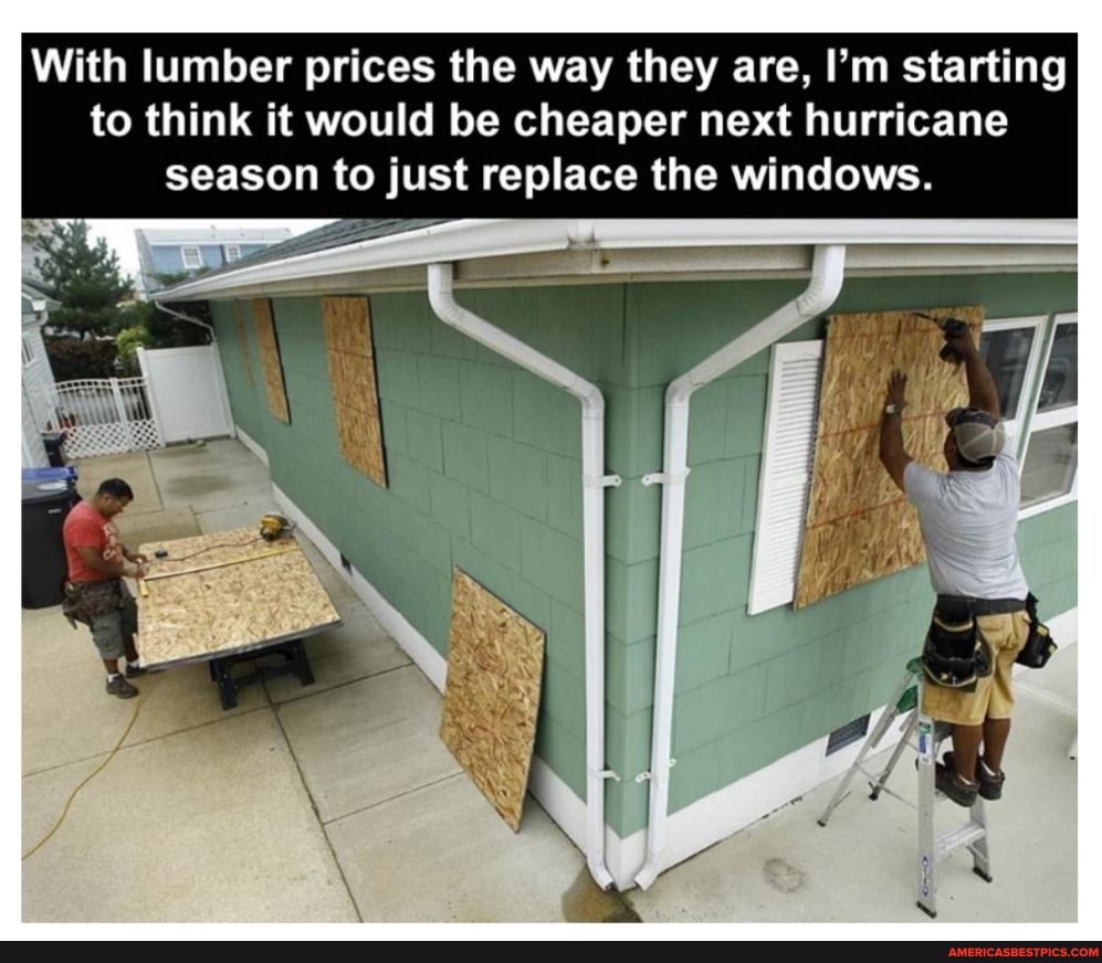 With lumber prices the way they are, I'm starting to think it would be cheaper next hurricane season to just replace the windows.