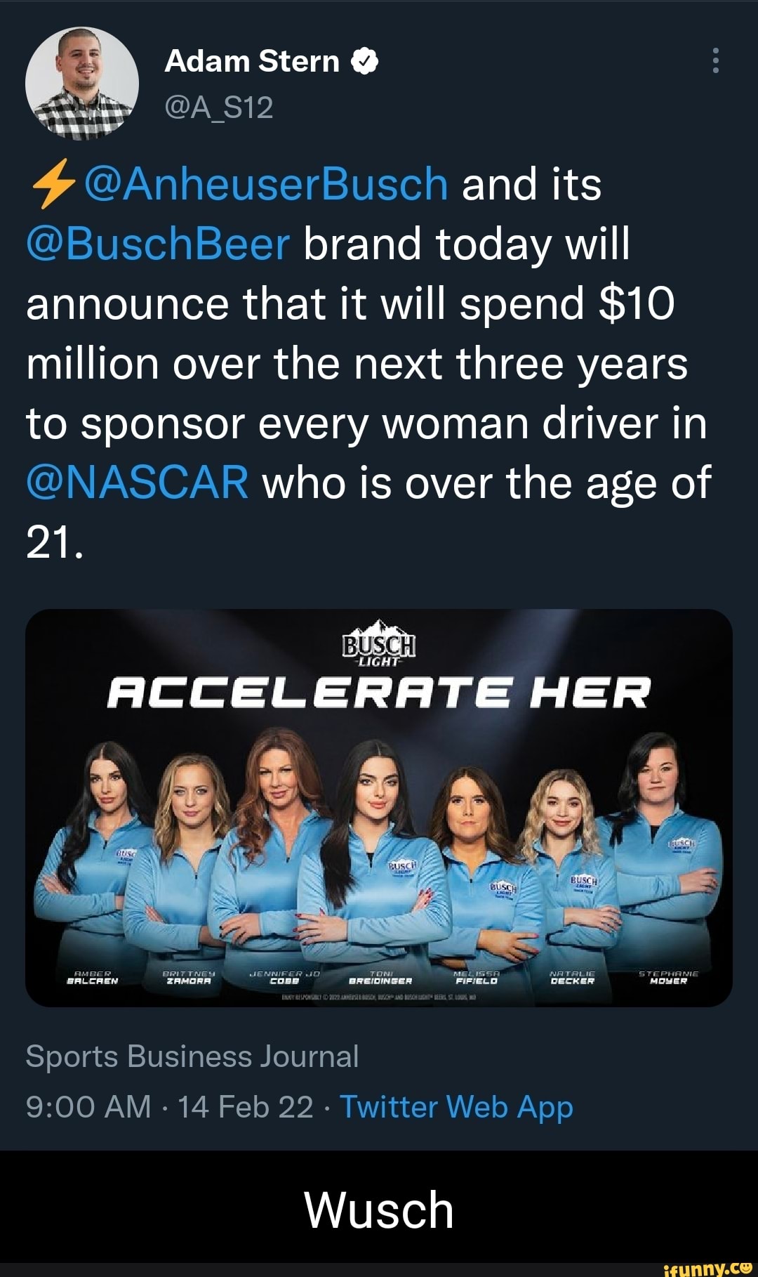 Adam Stern A_S12 4 AnheuserBusch and its BuschBeer brand today