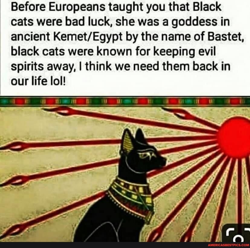Before Europeans taught you that Black cats were bad luck, she was a goddess in ancient by the name of Bastet, black cats were known for keeping evil spirits away, I think we need them back in our life lol!