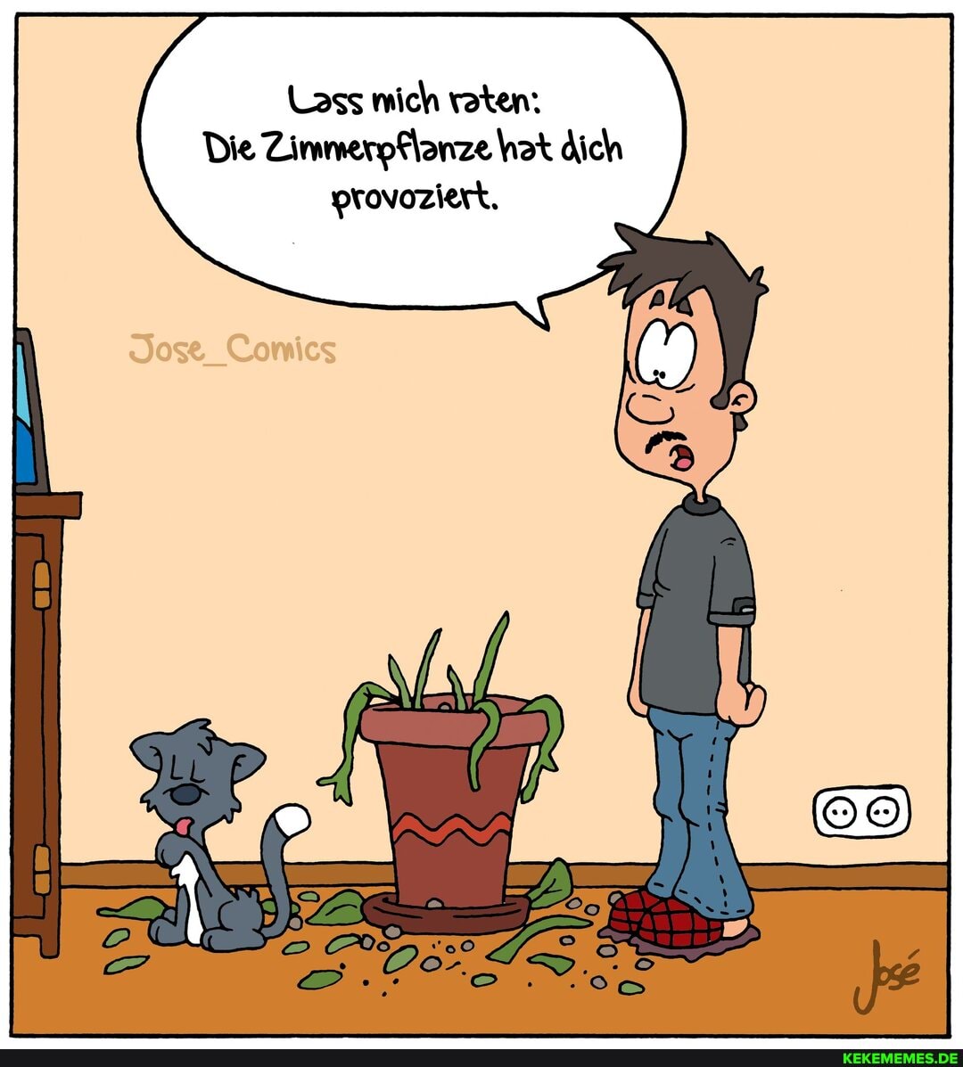 Lass mich raten:
Die Zimmerpflanze hat dich provoziert,
