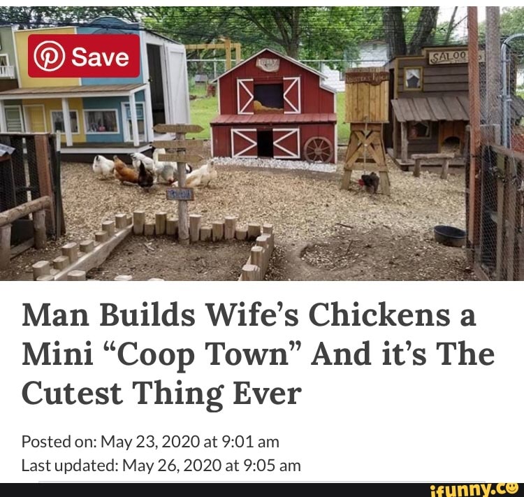 DD. Suave Man Builds Wife's Chickens a Mini "Coop Town" And it's The