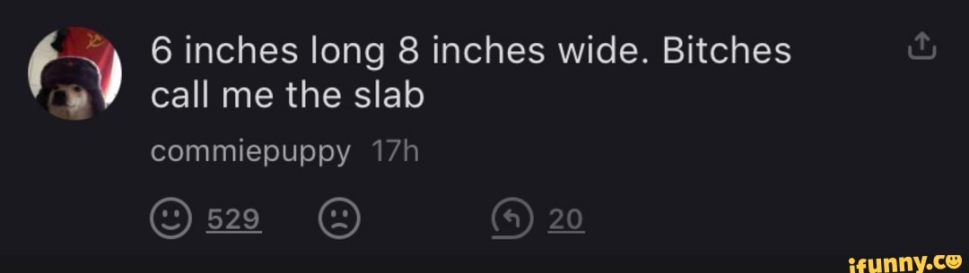 Inches long 8 inches wide. Bitches call me the slab 20 commiepuppy - iFunny