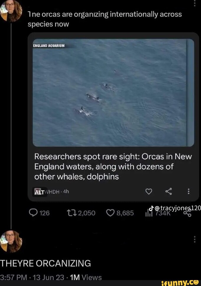 October 22 Slap your tallest best friend day Hey can slap you Tallest