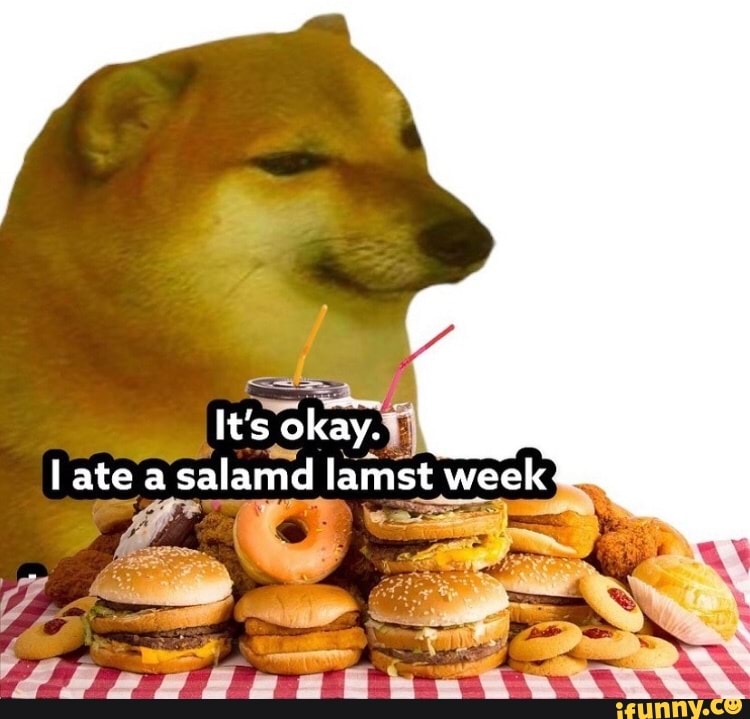 Lamst Lamst memes. Best Collection of funny Lamst pictures on iFunny