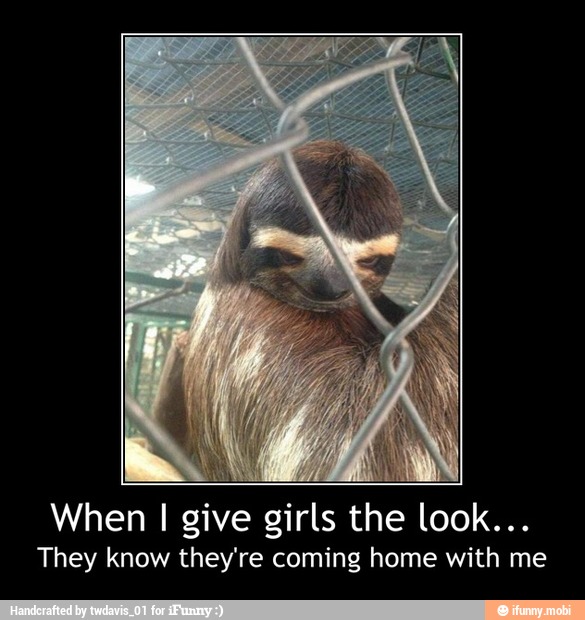 When I give girls the look...
They know they're coming home with me - When I give girls the look...
They know they're coming home with me