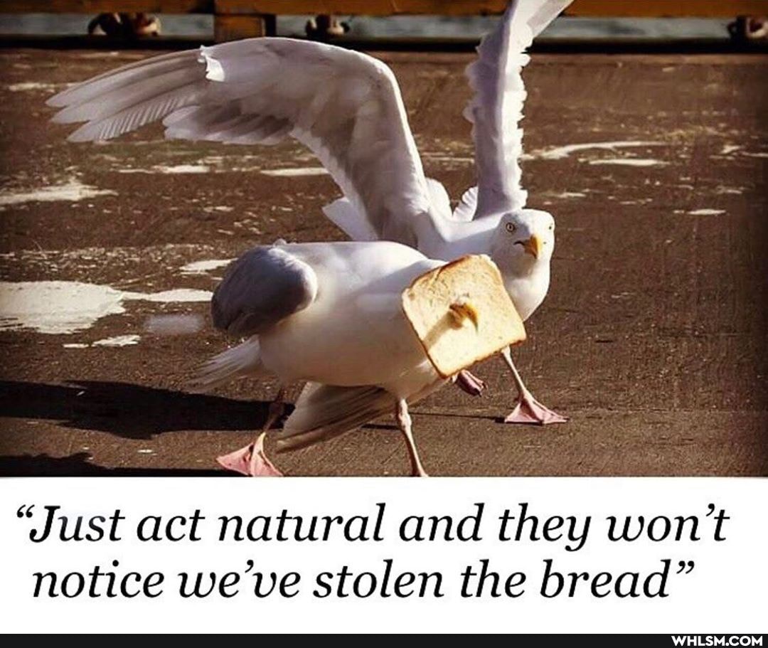 "Just act natural and they won't
notice we've stolen the bread"