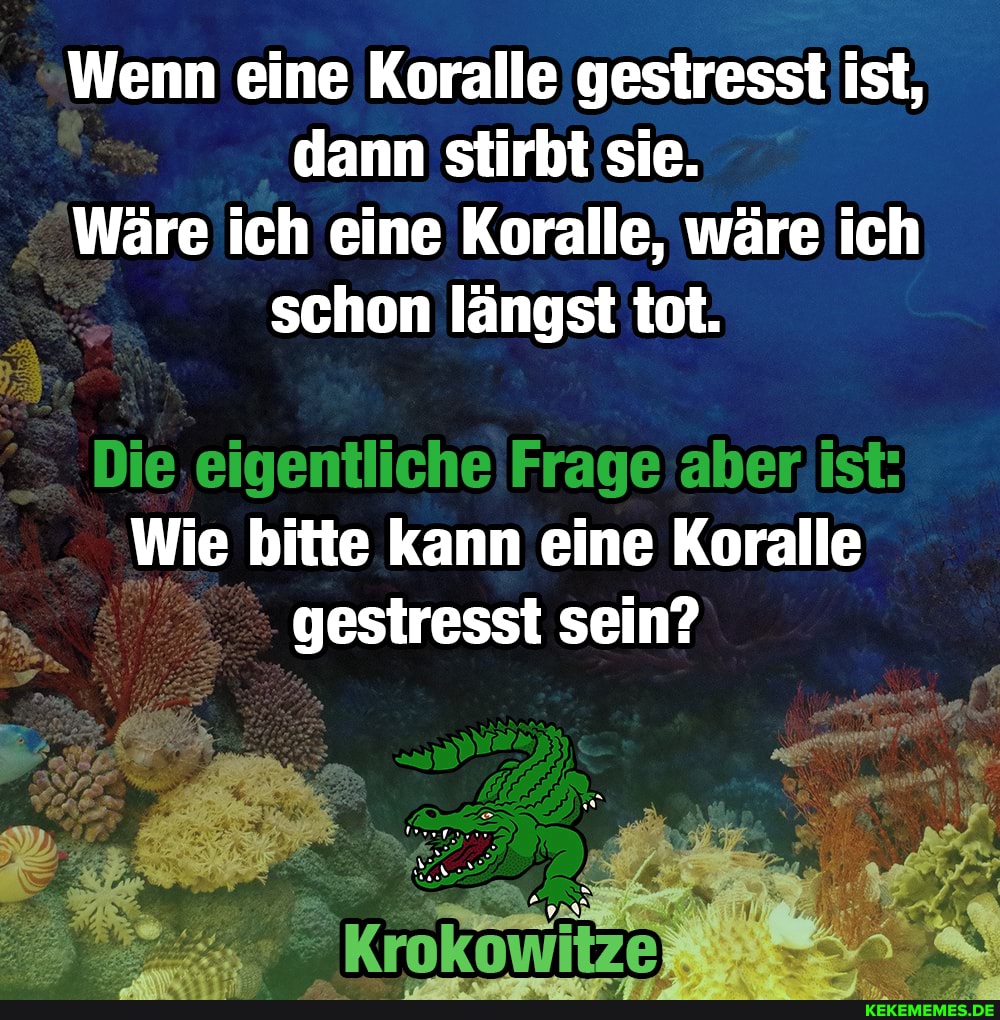 Wenn eine Koralle gestresst ist, dann stirbt sie.
Wäre ich eine Koralle, wäre ich schon längst tot.
Die.
eigentliche Frage
Wie bitte kann eine Koralle gestresst sein?