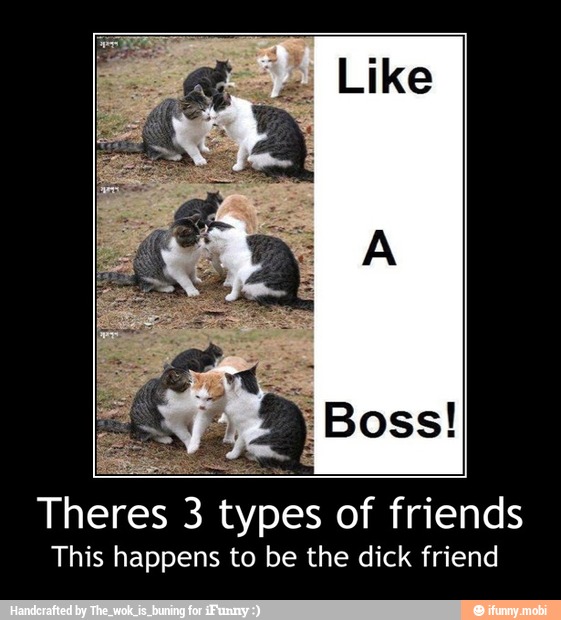 Theres 3 types of friends
This happens to be the dick friend - Theres 3 types of friends
This happens to be the dick friend