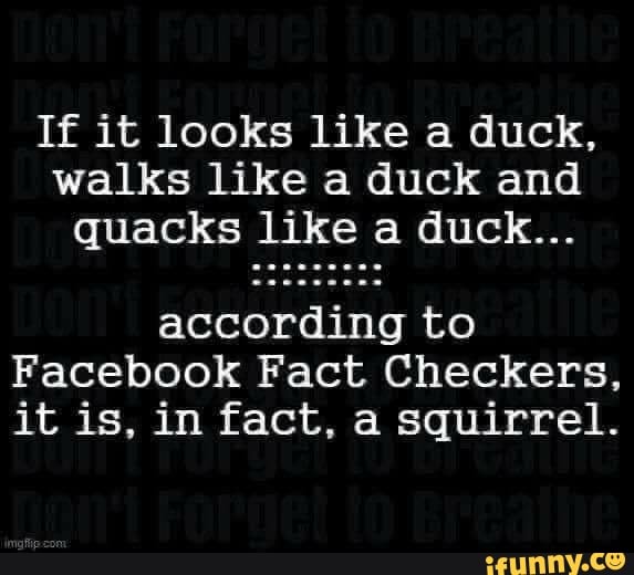 If it looks like a duck, walks like a duck and quacks like a duck