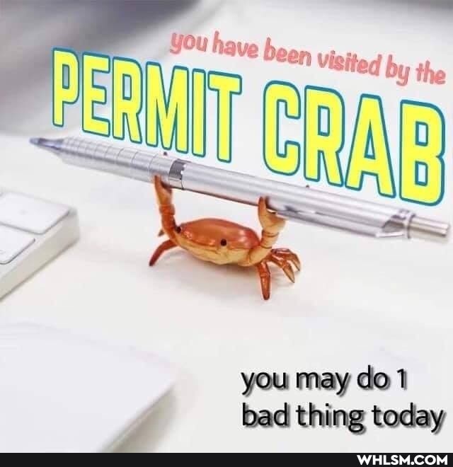 you may bad) thing today