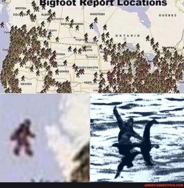 RISFOOR HREEport Locations he ev