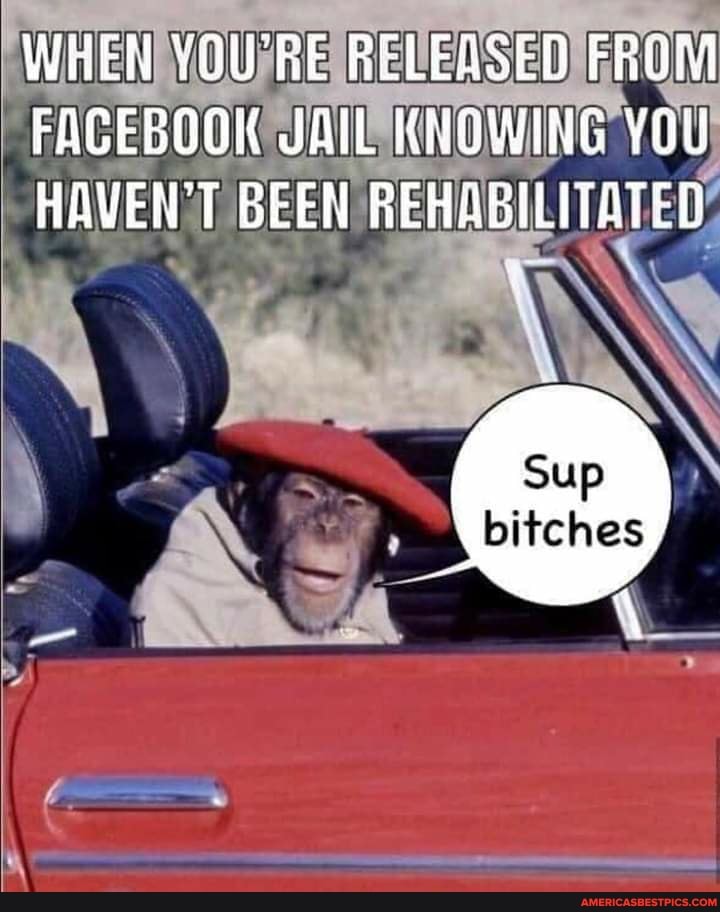 WHEN YOURE RELERSED FRoM FACEBOOK JAIL KNOWING YOU HAVEN'T GEEN REHABILITATED