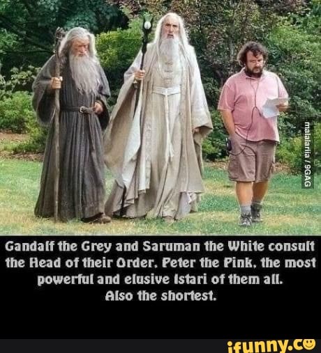 Gandalf the Grey and Saruman the White consult the Head of their Order. Peter the Pink, the most powerful and elusive tstari of them all.
Also the shortest. -