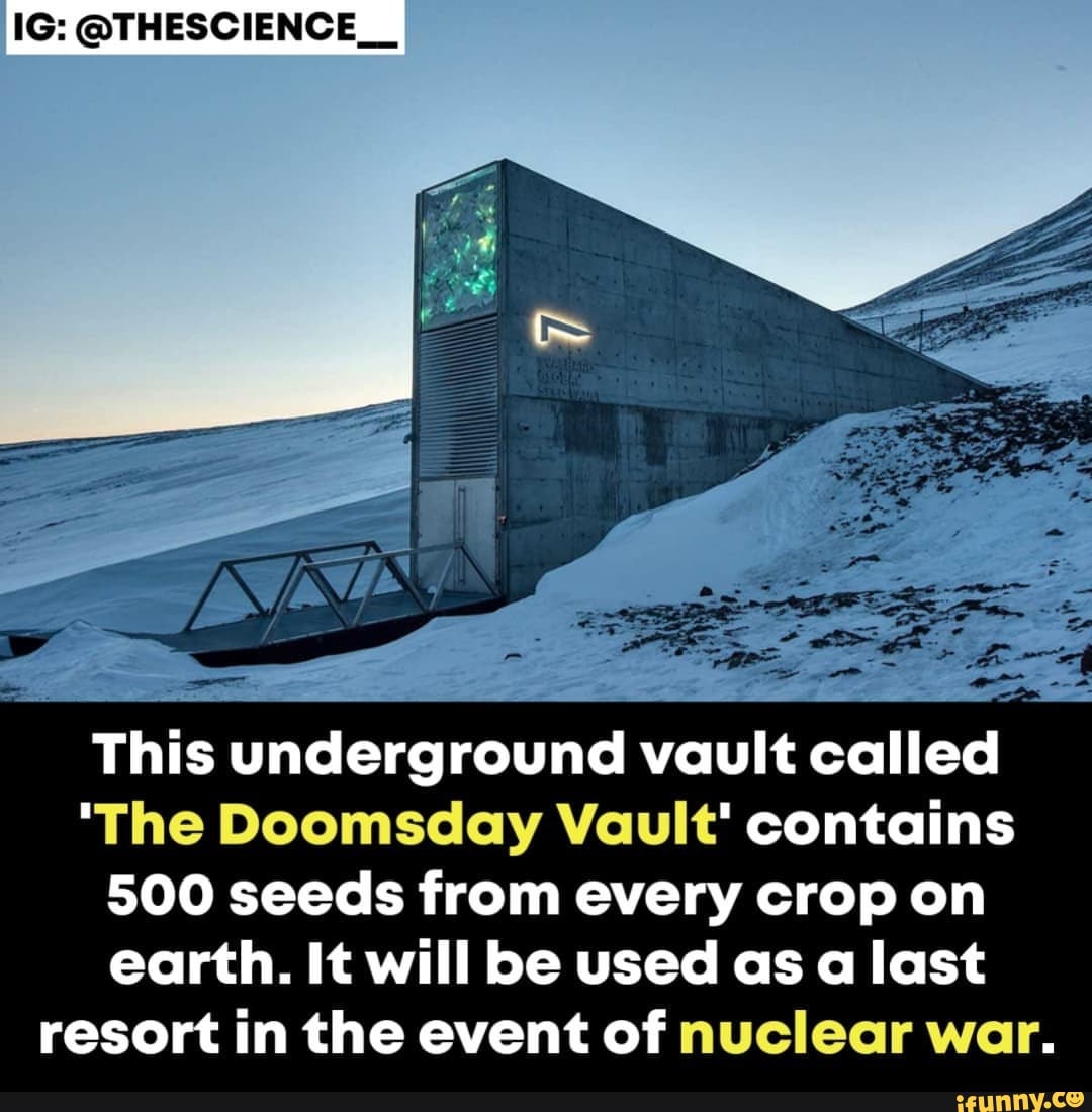 IG: @THESCIENCE__ This underground vault called 