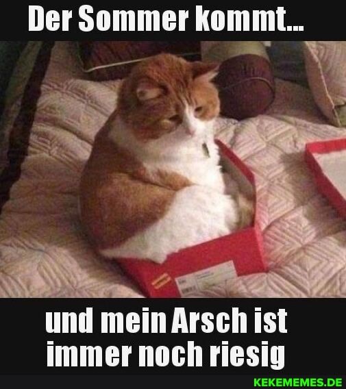 Der Sommer kommt...
und mein Arsch ist
immer noch riesig